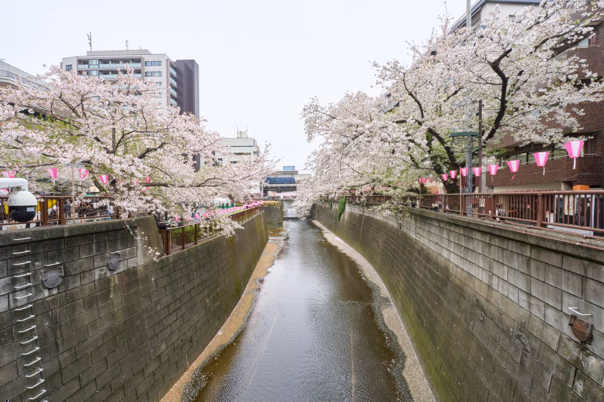 道順